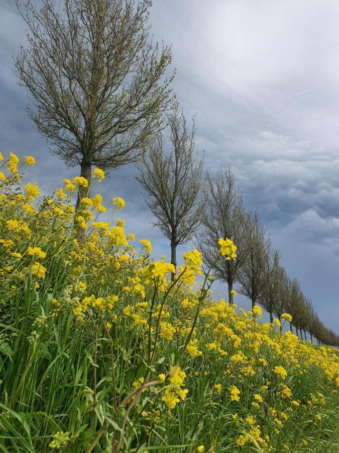 Vakantieboerderij Huize Nuis Noordbeemster ภายนอก รูปภาพ