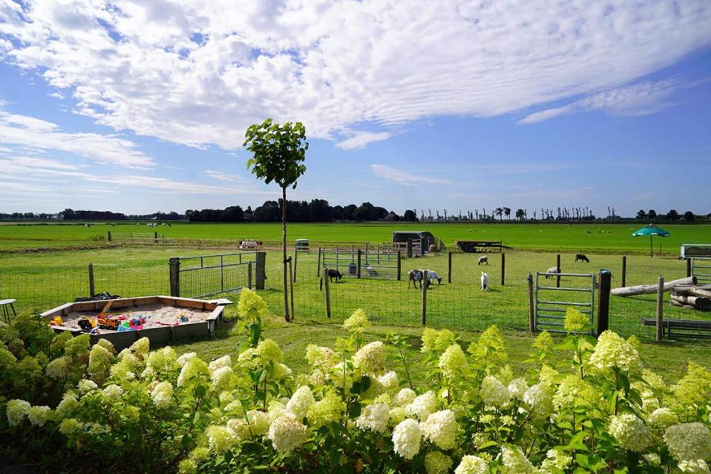 Vakantieboerderij Huize Nuis Noordbeemster ภายนอก รูปภาพ